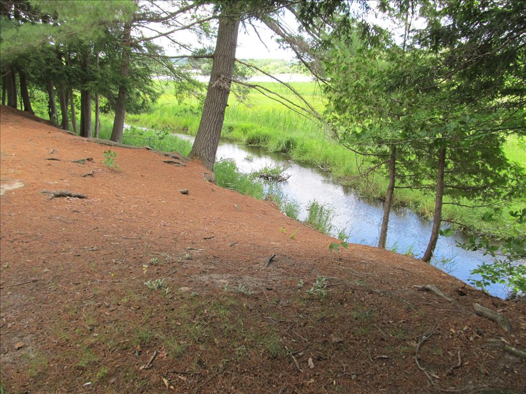 col_water_trails_31.jpg col_water_trails_31.jpg