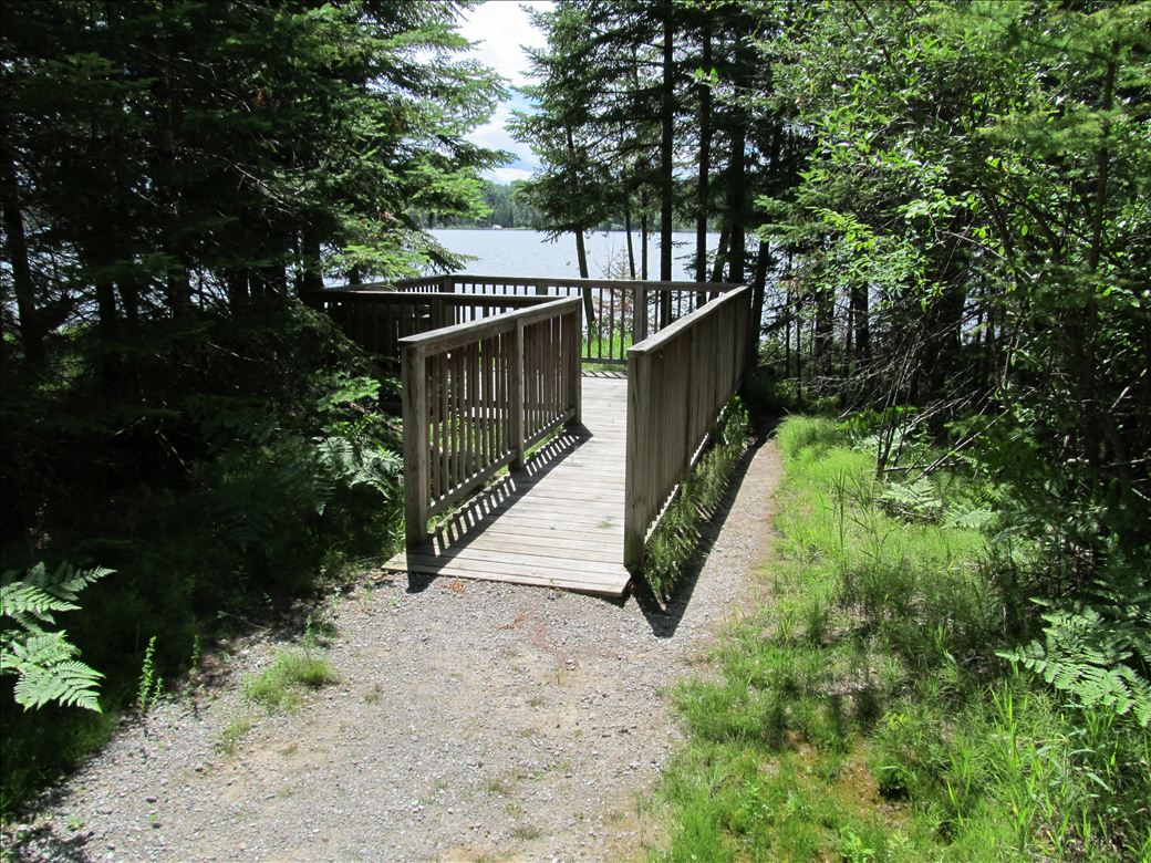 col_water_trails_38.jpg col_water_trails_38.jpg