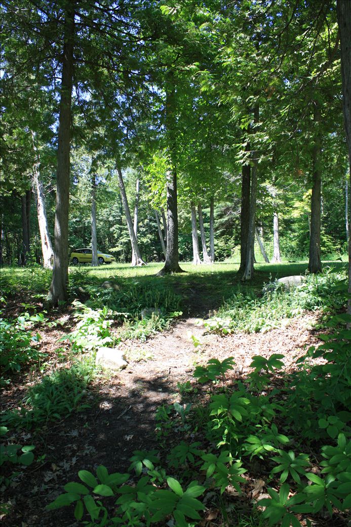 Graham Green Park Graham Green Park