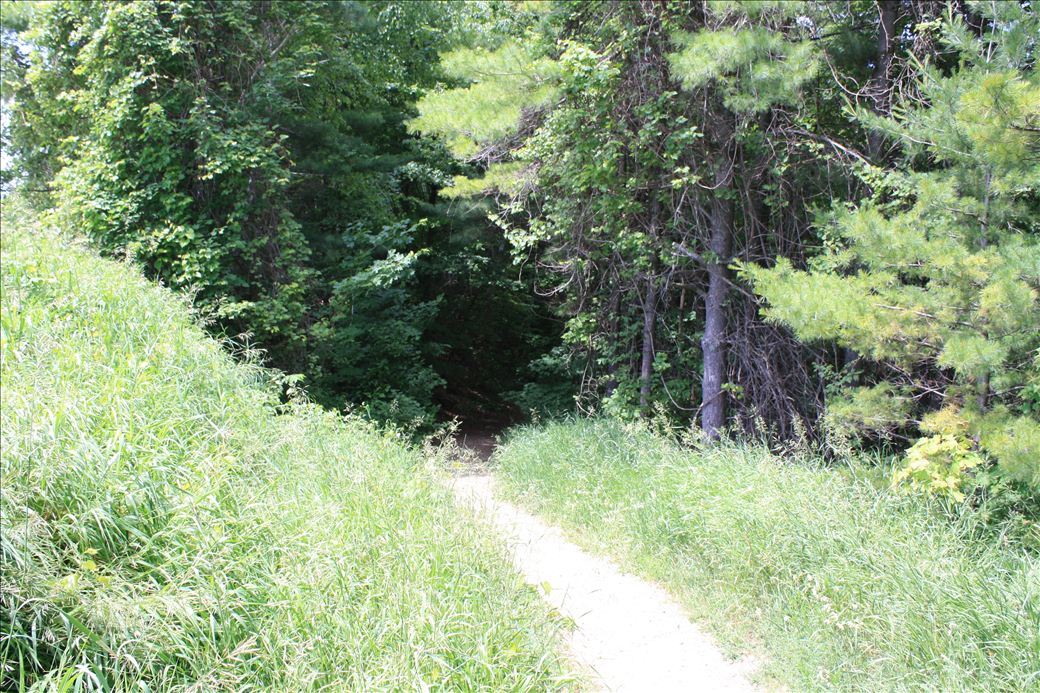 Maple Bay Natural Area Maple Bay Natural Area