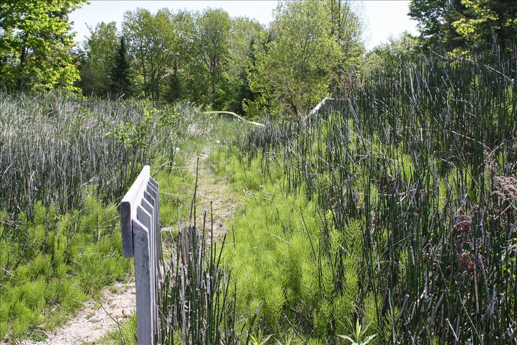 Michigan Trail road end Michigan Trail road end