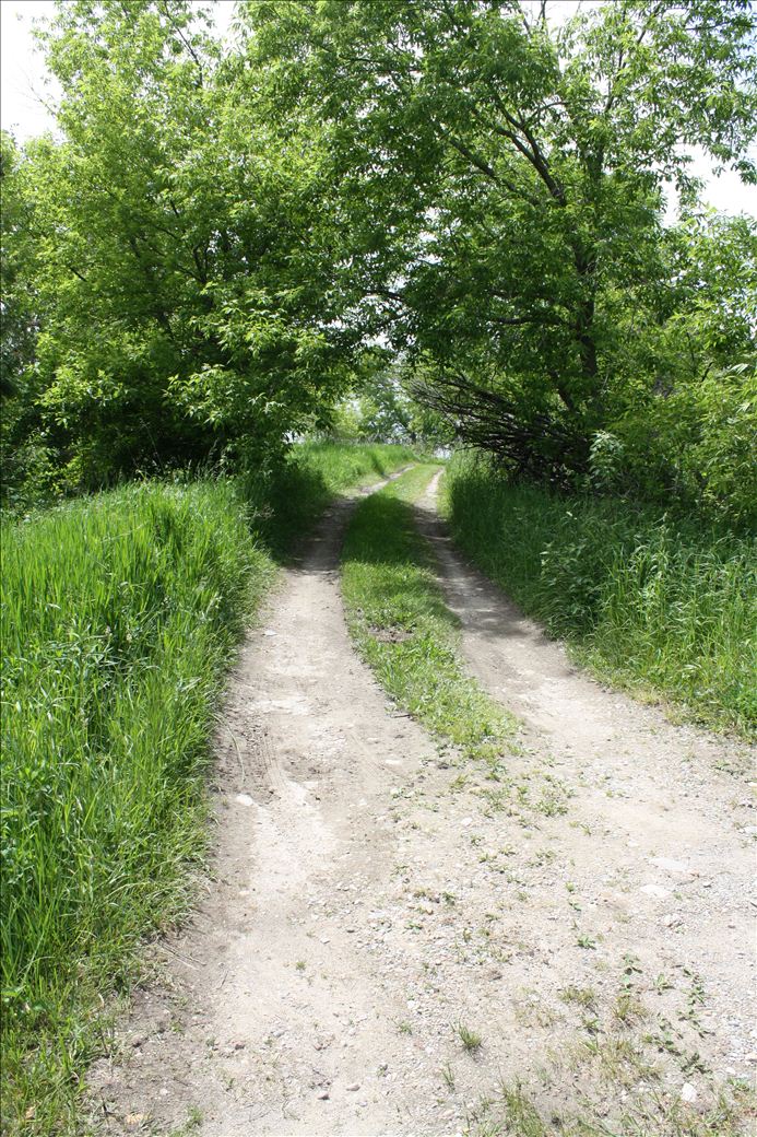 Norwood Township Park Norwood Township Park