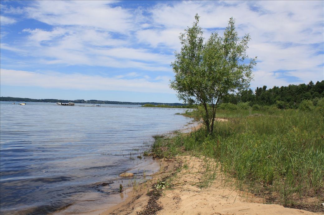 Shores Beach Shores Beach