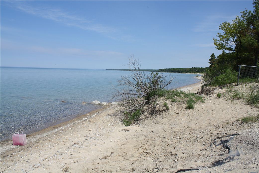 Torch Bay Nature Preserve Torch Bay Nature Preserve