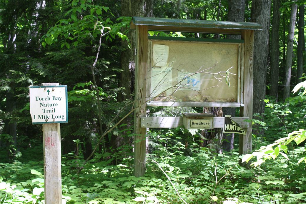 Torch Bay Nature Preserve Torch Bay Nature Preserve