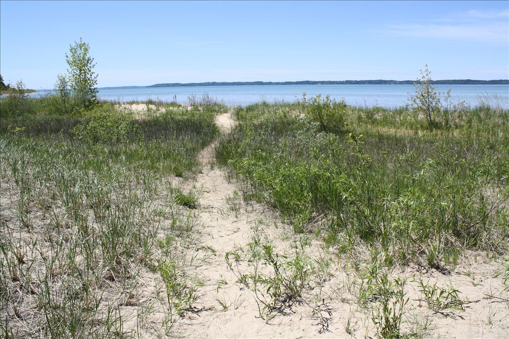 Wilcox Palmer Shah Nature Preserve Wilcox Palmer Shah Nature Preserve