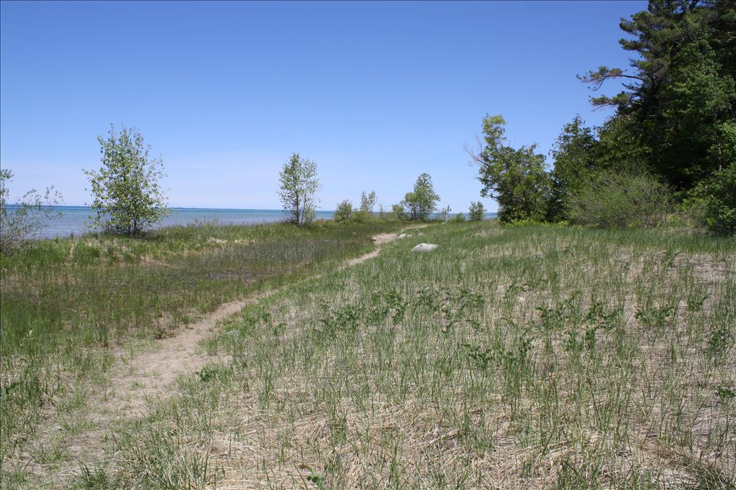 Wilcox Palmer Shah Nature Preserve Wilcox Palmer Shah Nature Preserve